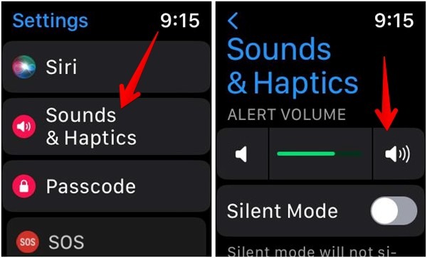 Apple Watch Alert Volume