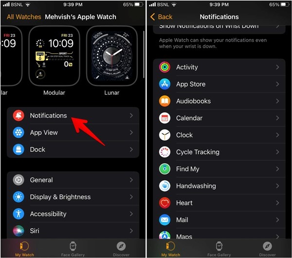 Apple Watch App Notifications