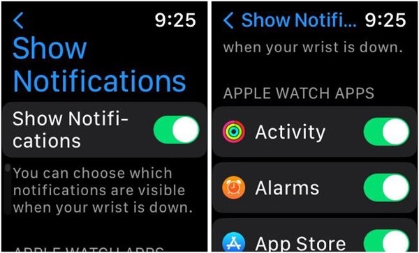 Apple Watch Show Notification Wrist Down Enable