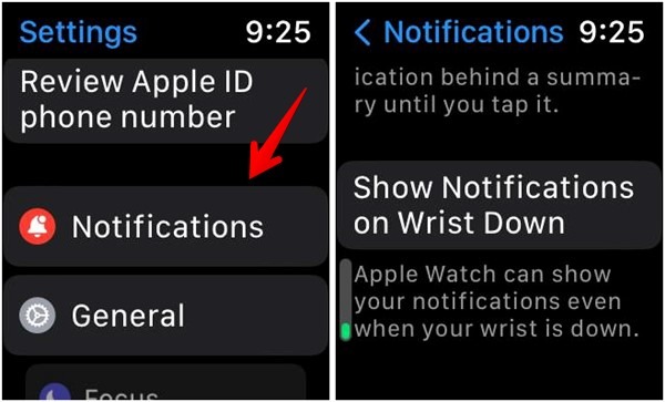 Apple Watch Show Notification Wrist Down