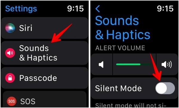 Apple Watch Silence Mode