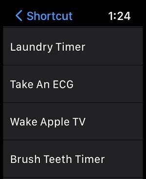 Apple Watch Ultra Shortcuts Menu