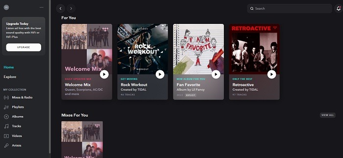 Tidal's web player with custom mixes.