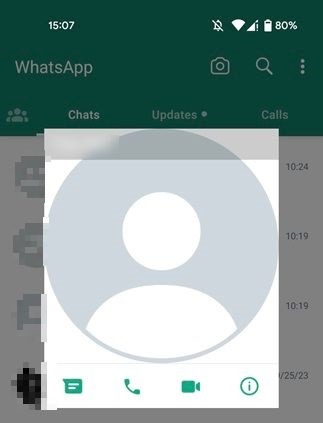 Blank profile picture view in WhatsApp app for Android.