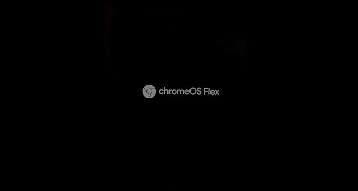 Chrome Os Flex Booting Logo
