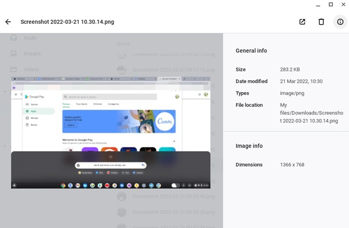 Chromebook Preview Files