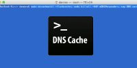 How to Flush the DNS Cache on Your Mac