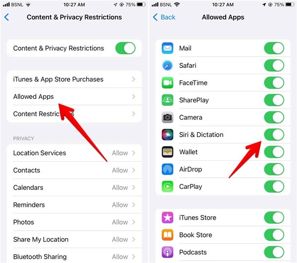 Enabling "Siri & Dictation" under "Allowed Apps" under iOS Settings.
