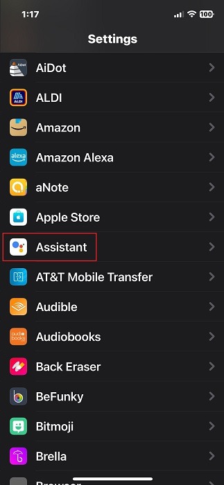 Google Assistant visible in iPhone settings.
