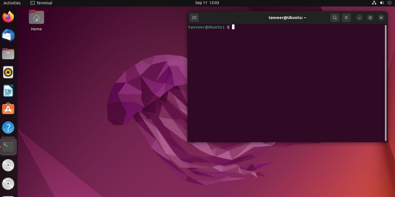 Screenshot of Ubuntu desktop with an active terminal window