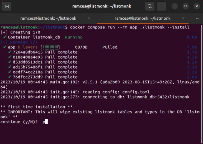 A terminal showing the database clear prompt for the Listmonk Docker Container.