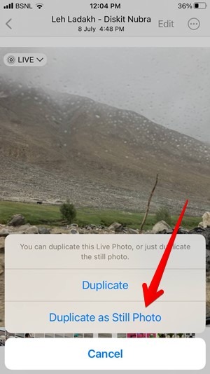 Iphone Live Photo Duplicate Still Image