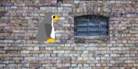 Linux vs. Windows: An Objective Look at Both Operating Systems