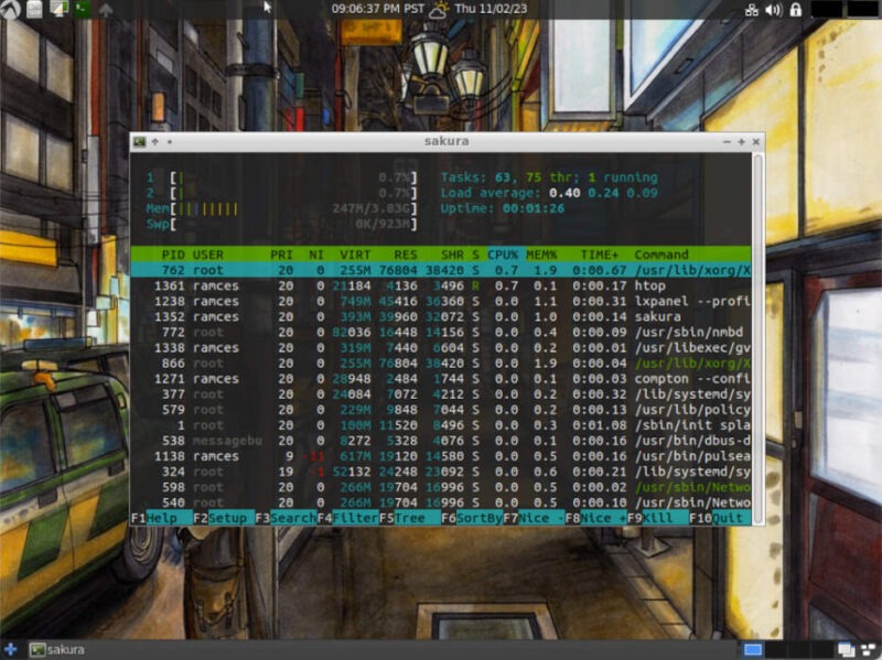 A screenshot of a terminal showing the current system resource usage of LXDE.