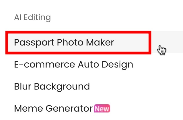 Passport Maker Feature On Cutout Pro Website