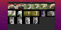 How to Organize and Share Your Pictures with Gnome Photos