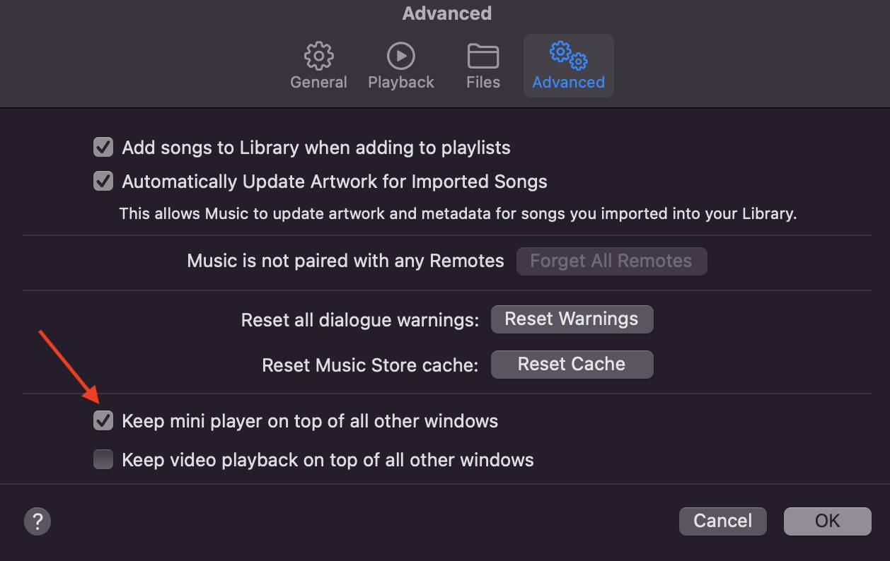 Choosing to make Miniplayer stay at the top