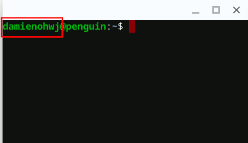 Chromeos Linux Terminal Username