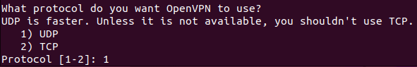 A terminal showing the prompt for the default transport protocol.