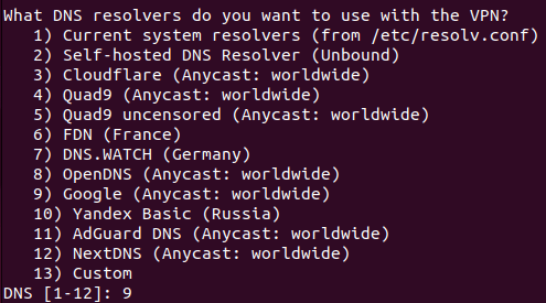 A terminal showing the prompt for the default DNS resolver.