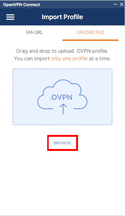 A screenshot showing the Browse button for the OpenVPN client.