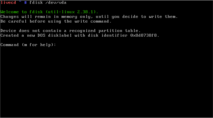 A terminal showing the fdisk command for the /dev/vda device.