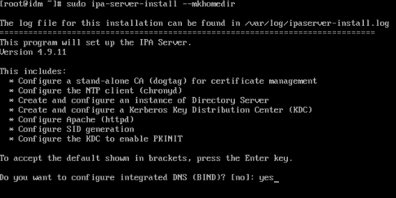 A terminal showing the initial prompt for the ipa-server-install program.
