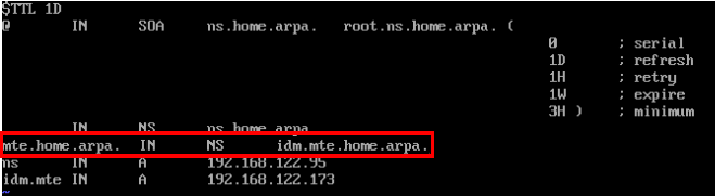 A terminal showing the DNS records for the mte.home.arpa. network.