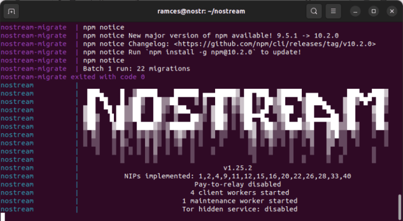 A terminal showing nostream running successfully for the first time.