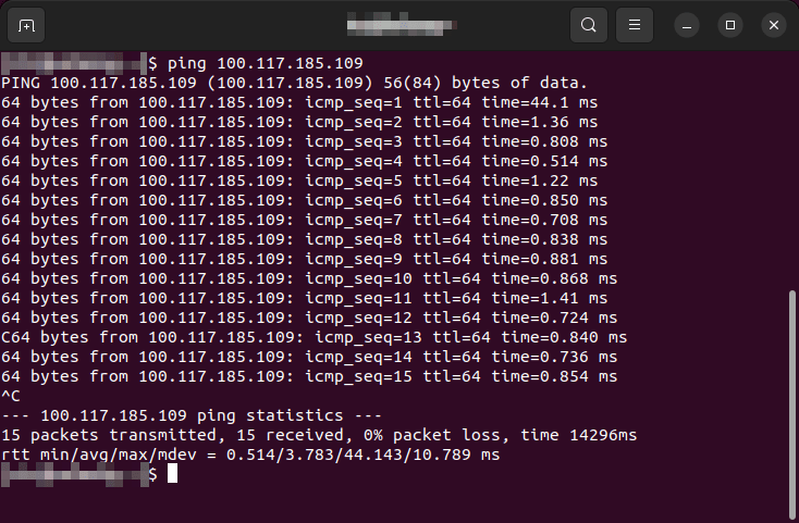 A terminal showing a simple ping between two devices under Tailscale.