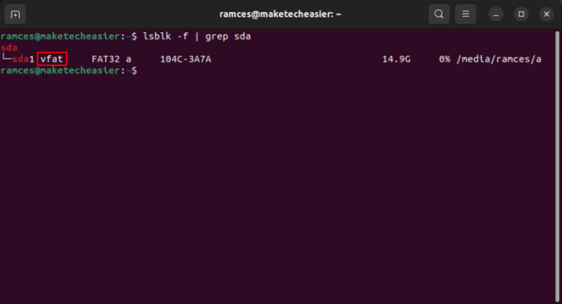 A terminal showing the filesystem type of the sda1 partition.