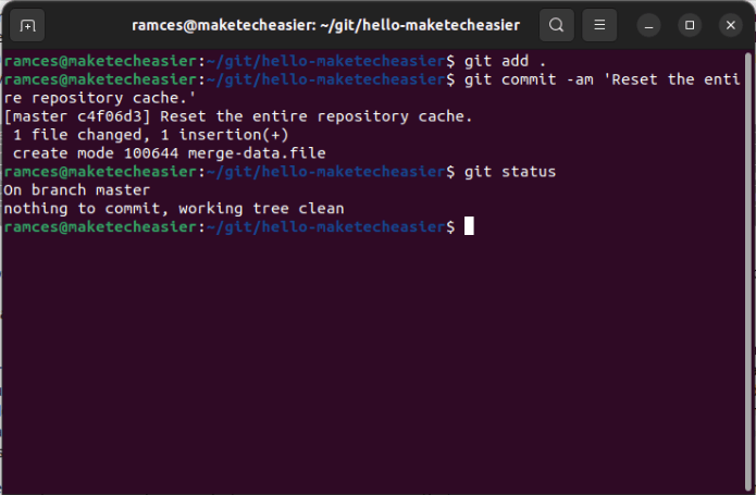 A terminal showing a fully reset Git cache.